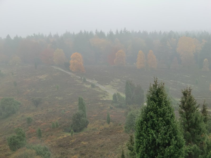 Wilseder Berg 1 2010 069